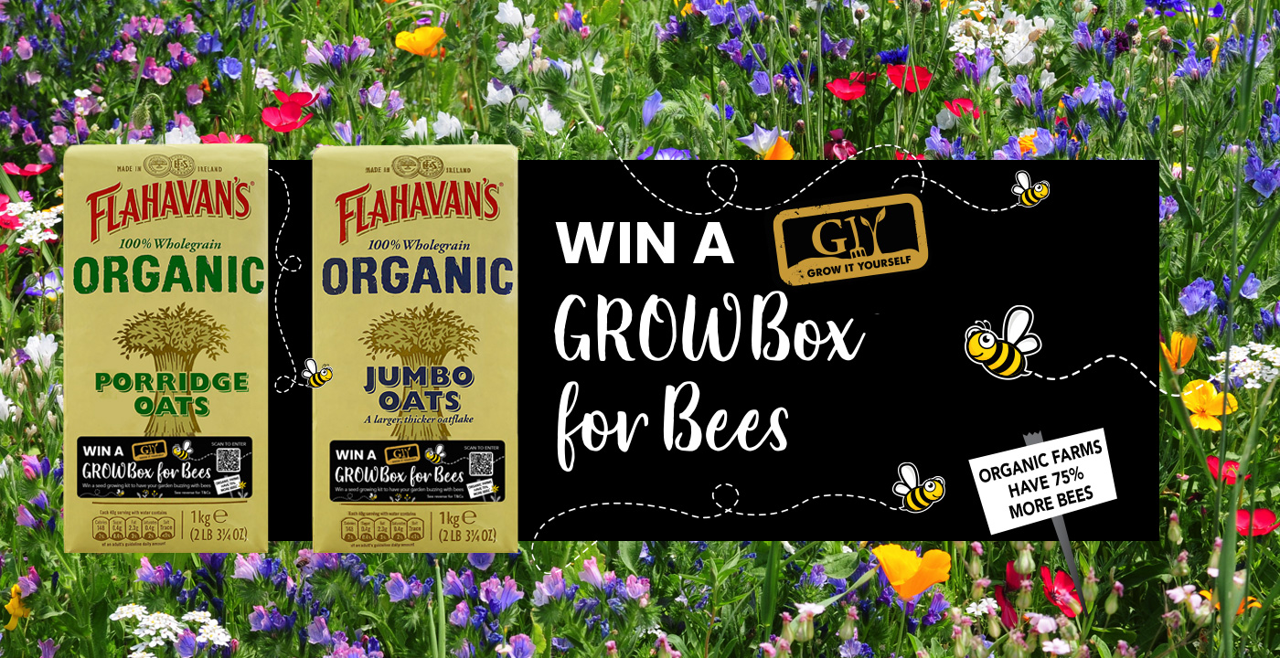 Win a GrowBox for Bees with flower seeds